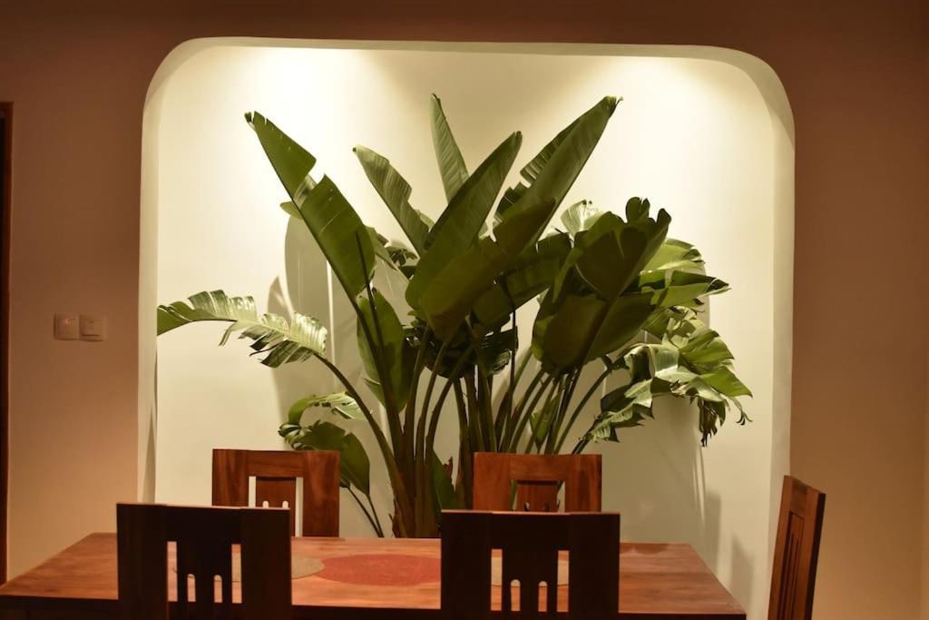 Villa Paisible Proche Des Rizieres Antananarivo Ngoại thất bức ảnh